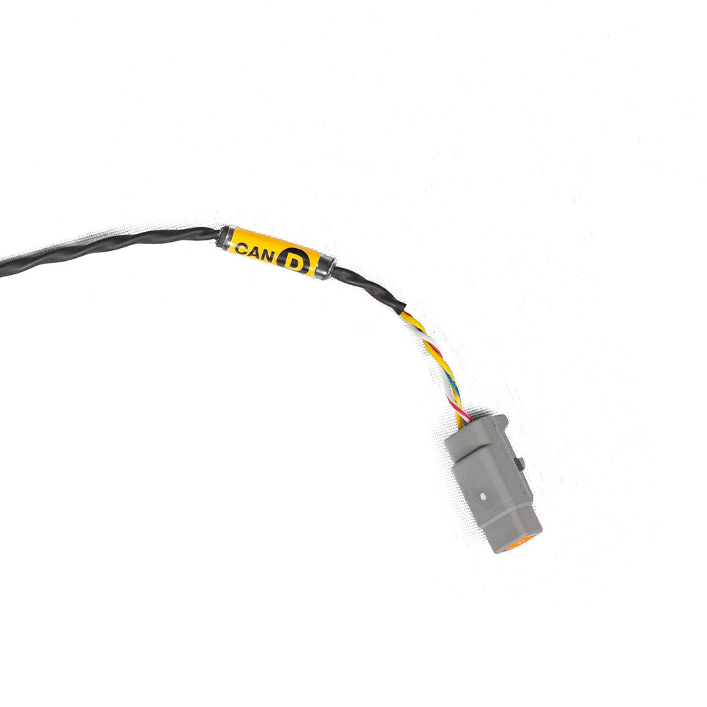 Chicote M - FT700